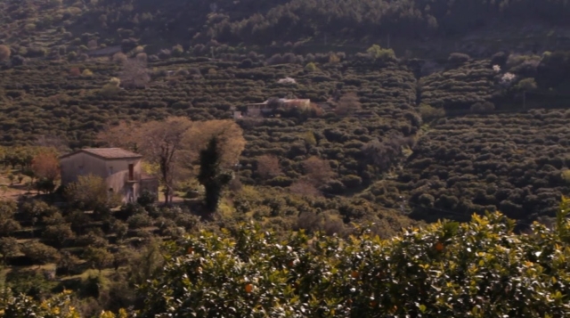 Terrazze val d'Anapo