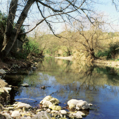 Ovale dell’Anapo