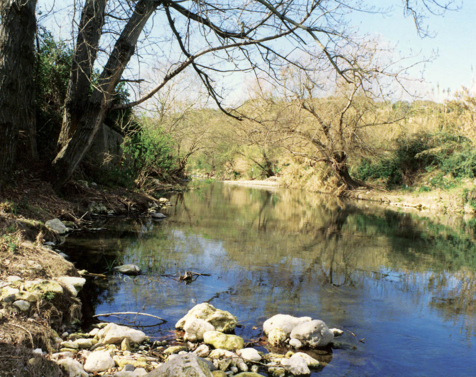 Archivio Tipografia Tumino: Particolare del FIume Anapo Archivio Tipografia Tumino: Particolare del FIume Anapo