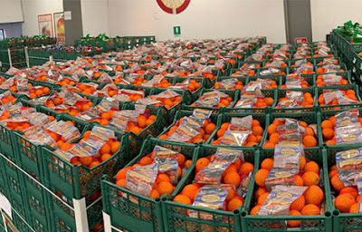 Conad